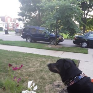 Meet your Posher, Janet